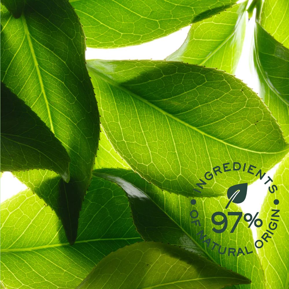 Nahaufnahme von grünen Blättern. Text: 97% natürliche Inhaltsstoffe.