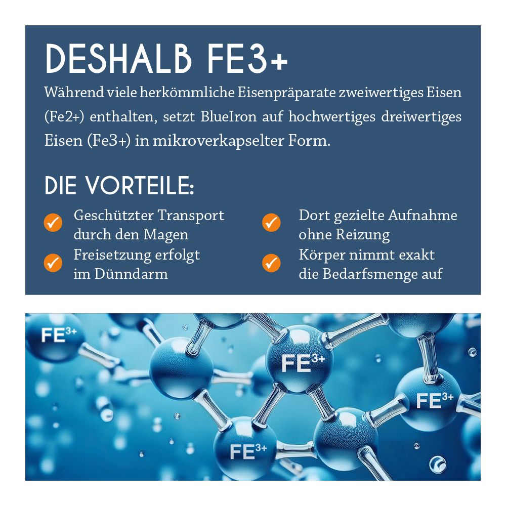 Texttafel: Deshalb Fe3+. Vorteile: Geschützter Transport, Freisetzung im Dünndarm. Körper nimmt Bedarf exakt auf.
