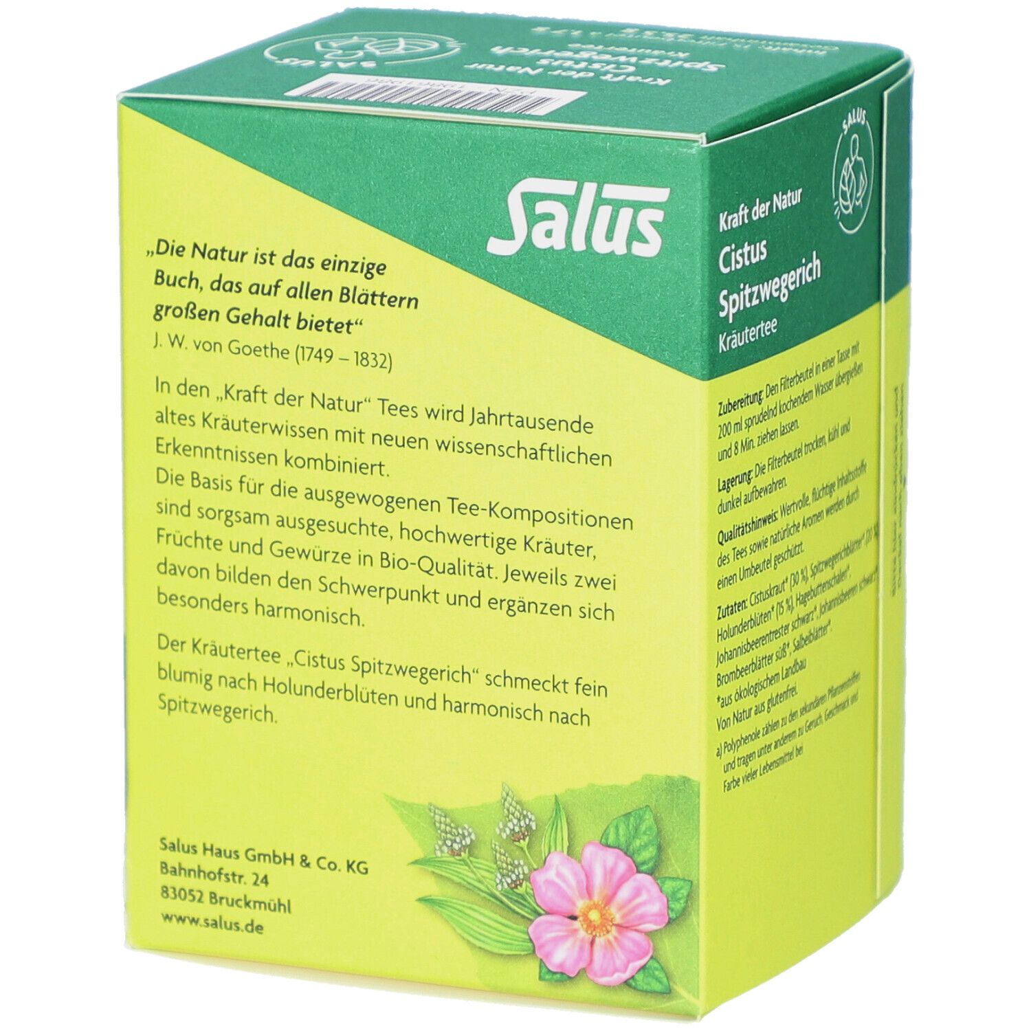 Boîte verte avec texte. "Salus", "Cistus Spitzwegerich". Texte sur composition du thé et fabricant.