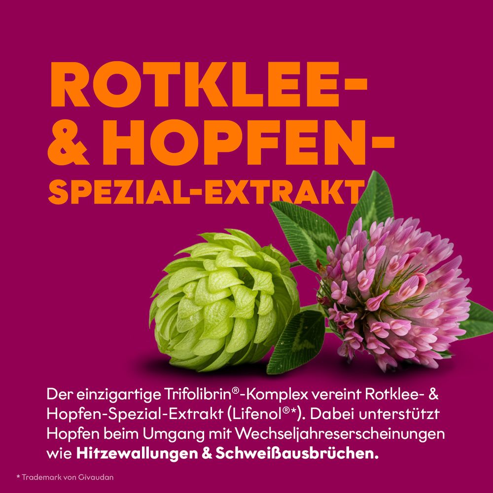 Extrait spécial de trèfle rouge et de houblon pour la ménopause.
