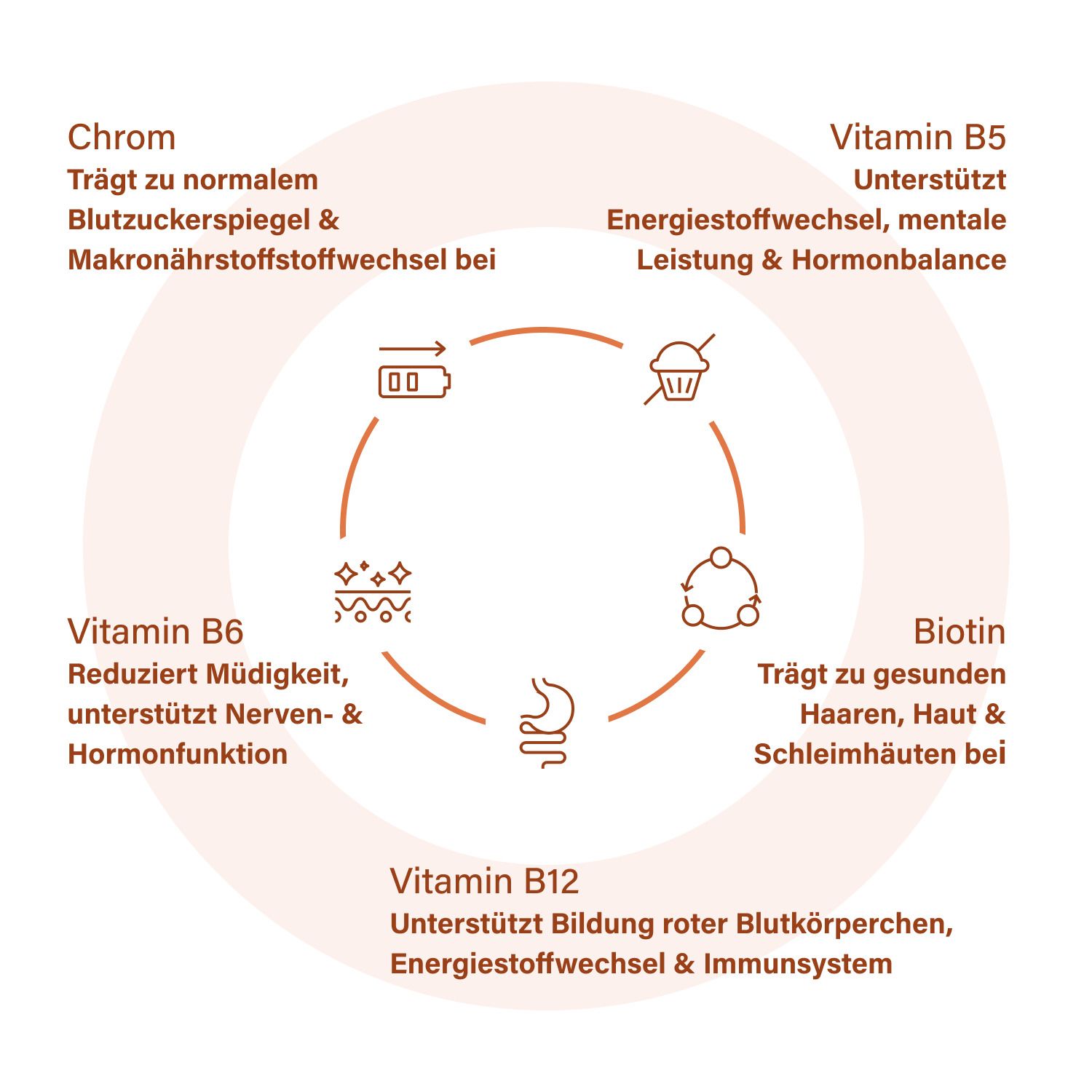 Représentation circulaire de vitamines et minéraux. Contient de la vitamine B5, B6, B12, de la biotine et du chrome. Explications textuelles.