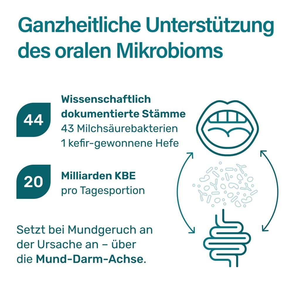 Grafik: 44 Bakterienkulturen, 20 Milliarden KBE, Mund-Darm-Achse.