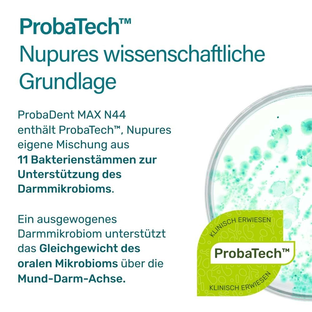 ProbaDent MAX N44: Wissenschaftliche Grundlage, Darmmikrobiom, Mund-Darm-Achse.