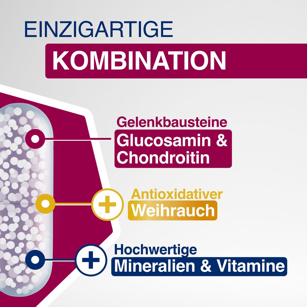 Kapsel mit Inhaltsstoffen: Glucosamin & Chondroitin, Weihrauch, Mineralien & Vitamine. Grafik.
