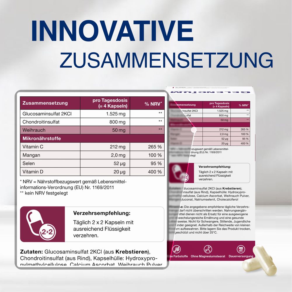 Grafik: Zusammensetzung pro Tagesdosis. Inhaltsstoffe: Glucosamin, Chondroitin, Weihrauch, Vitamine.
