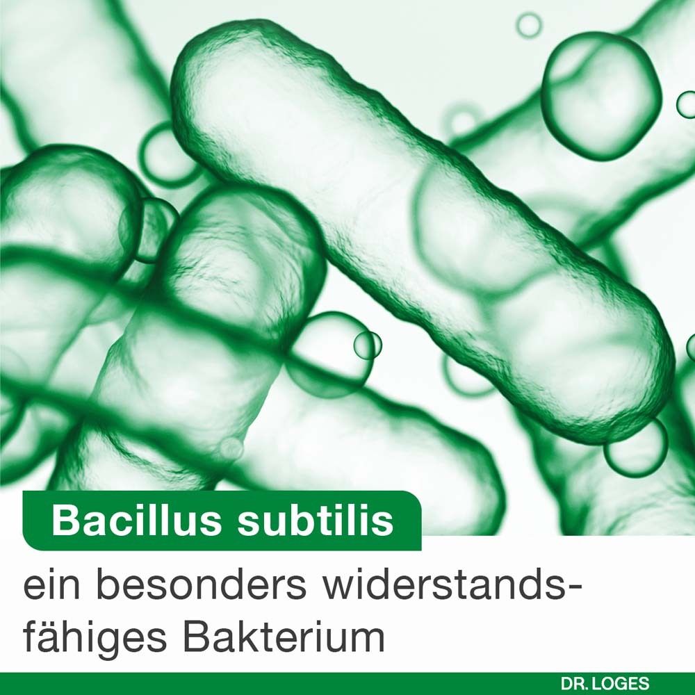 Illustration de Bacillus subtilis. Texte : une bactérie particulièrement résistante. Logo Dr. Loges.