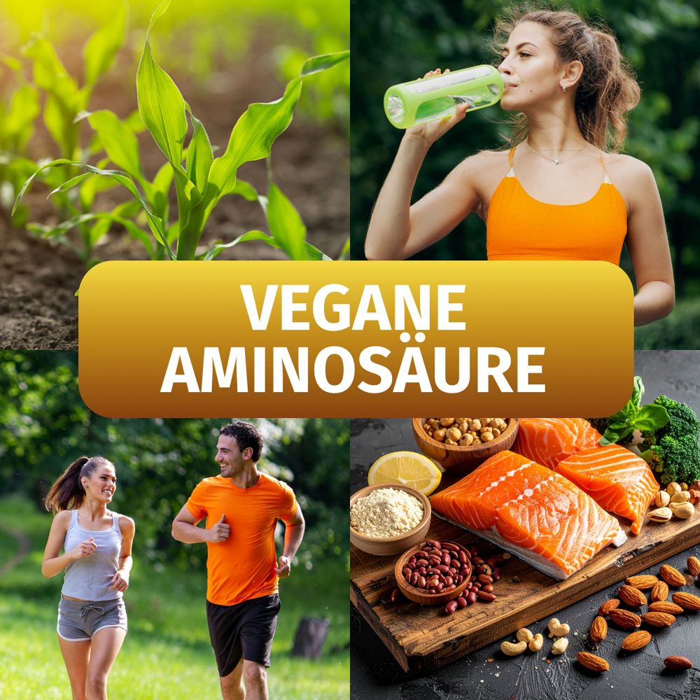 Collage d'images de maïs, femme buvant, coureurs et aliments. Texte : AMINOACIDE VÉGÉTALIEN.