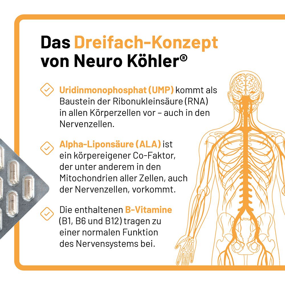 Graphique du système nerveux et explication des ingrédients de Neuro Köhler Kapseln.