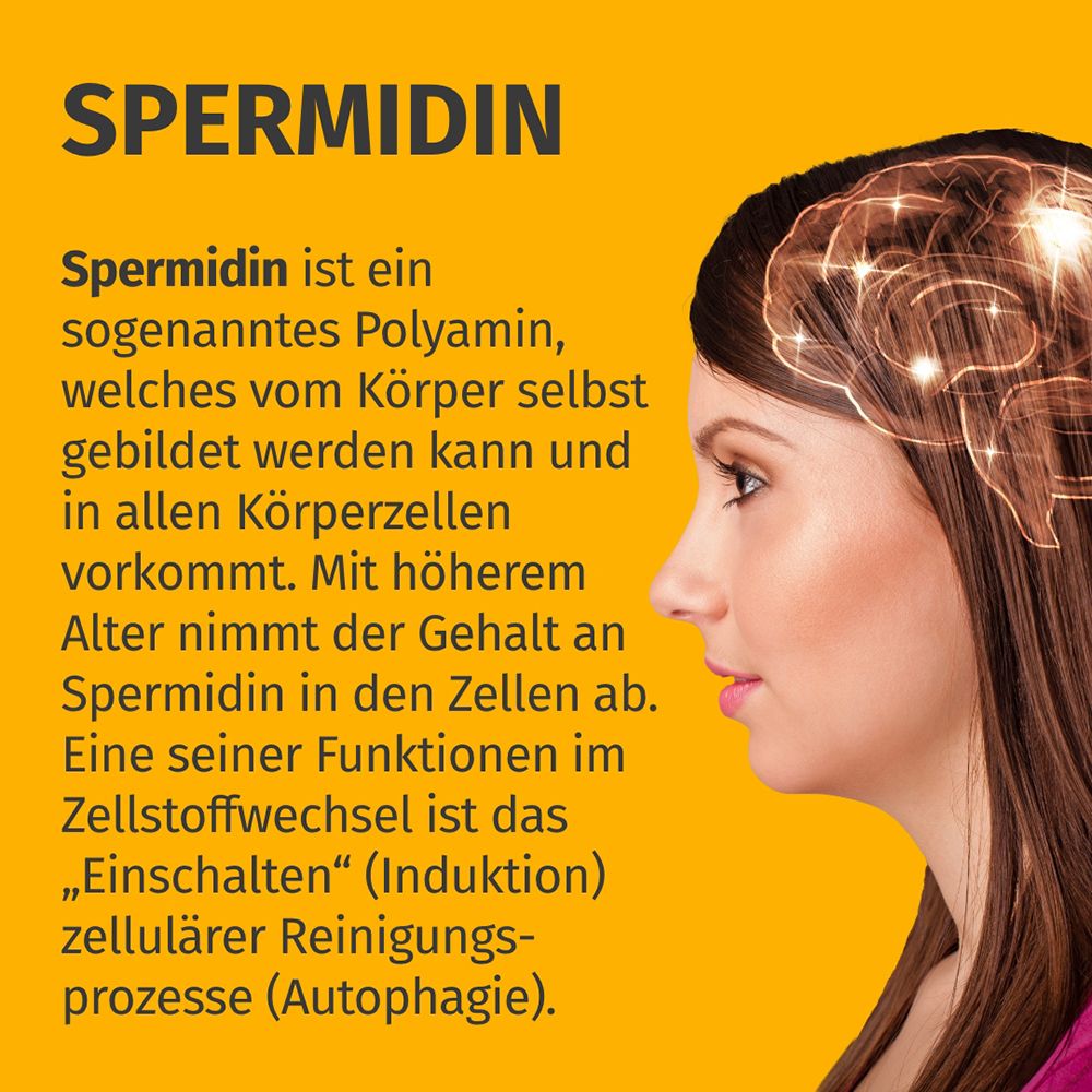 Profil d'une femme avec un cerveau lumineux. Le texte explique la spermidine comme un polyamine.