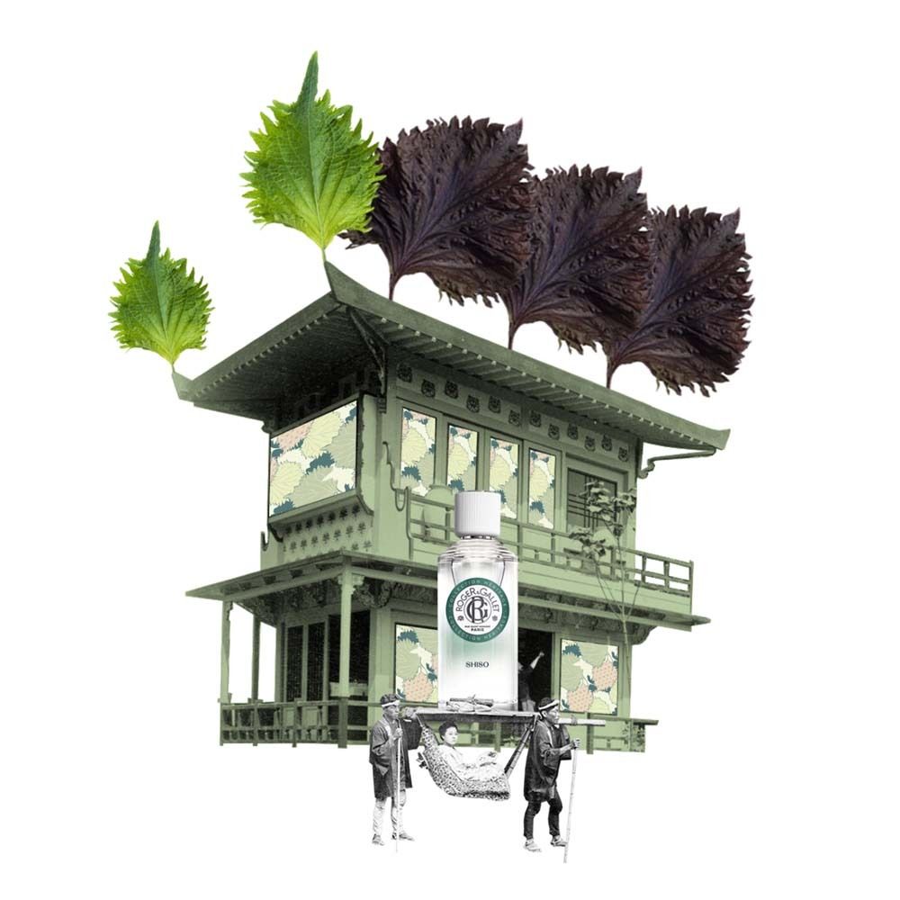 Kollage mit Produktflakon, japanischem Gebäude und Shiso-Blättern. Flakon mit grünem Etikett. Gebäude grün.