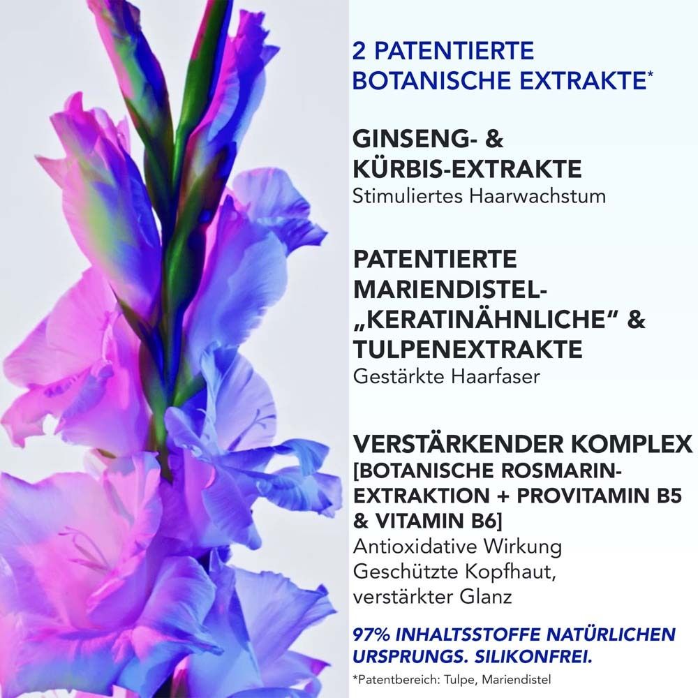 Zwei patentierte botanische Extrakte: Ginseng- & Kürbis-Extrakte für stimuliertes Haarwachstum. Patentierte Mariendistel-, keratinähnliche & Tulpenextrakte stärken Haarfasern. Verstärkender Komplex mit Rosmarinextraktion, Provitamin B5 & Vitamin B6.