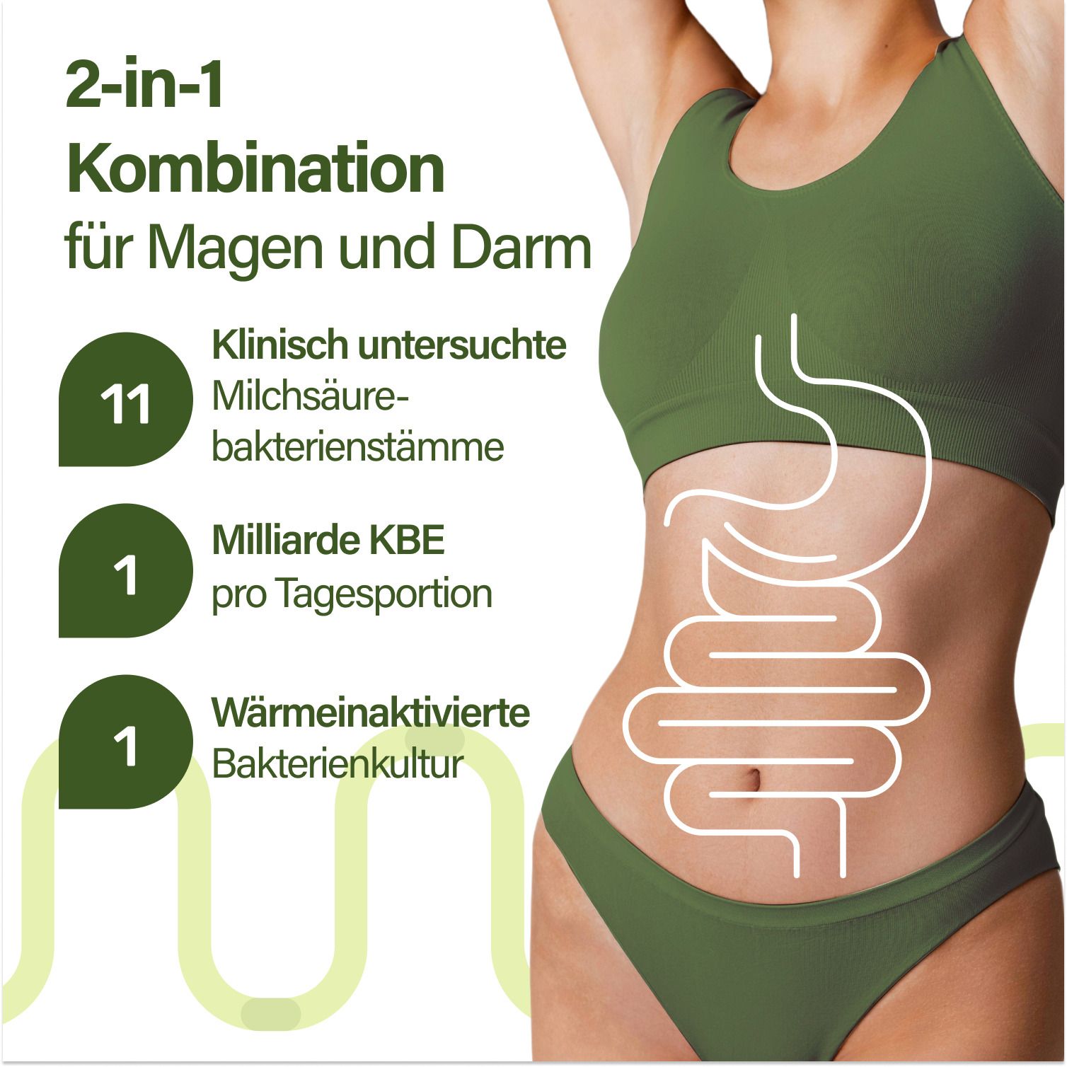 Grafik: Frau mit hervorgehobenem Verdauungstrakt. Text: 2-in-1 Kombination für Magen und Darm. 11 Milchsäurebakterienstämme.