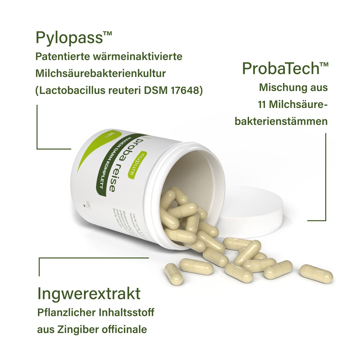 Produkt: Kapseln aus Dose. Text: Pylopass, ProbaTech, Ingwerextrakt. Kapseln mit Inhaltsstoffen.