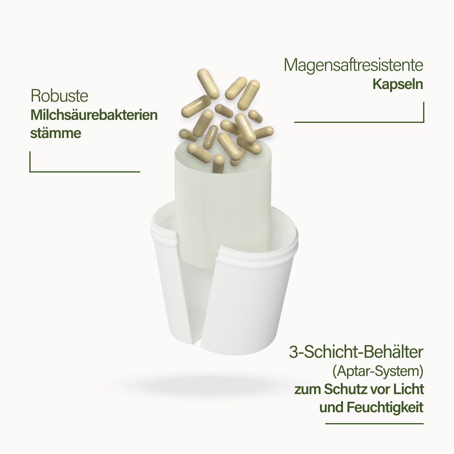 Schnitt durch eine Kapsel. Text: Magensaftresistente Kapseln. 3-Schicht-Behälter. Robuste Milchsäurebakterien.