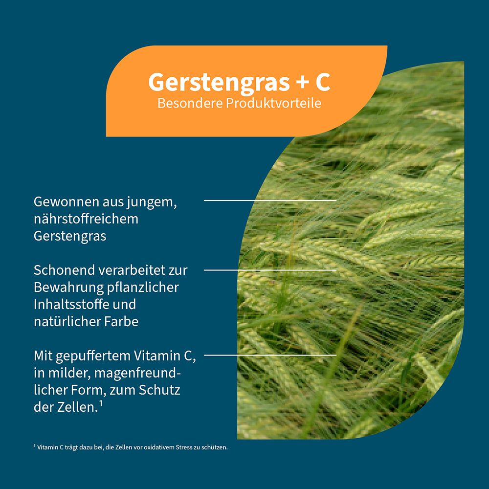 Gerstengras-Feld mit Text über Vorteile von Gerstengras und Vitamin C.