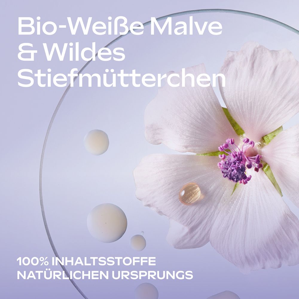 Weiße Malve und Stiefmütterchen mit Tropfen auf Glasplatte. 100% natürliche Inhaltsstoffe.
