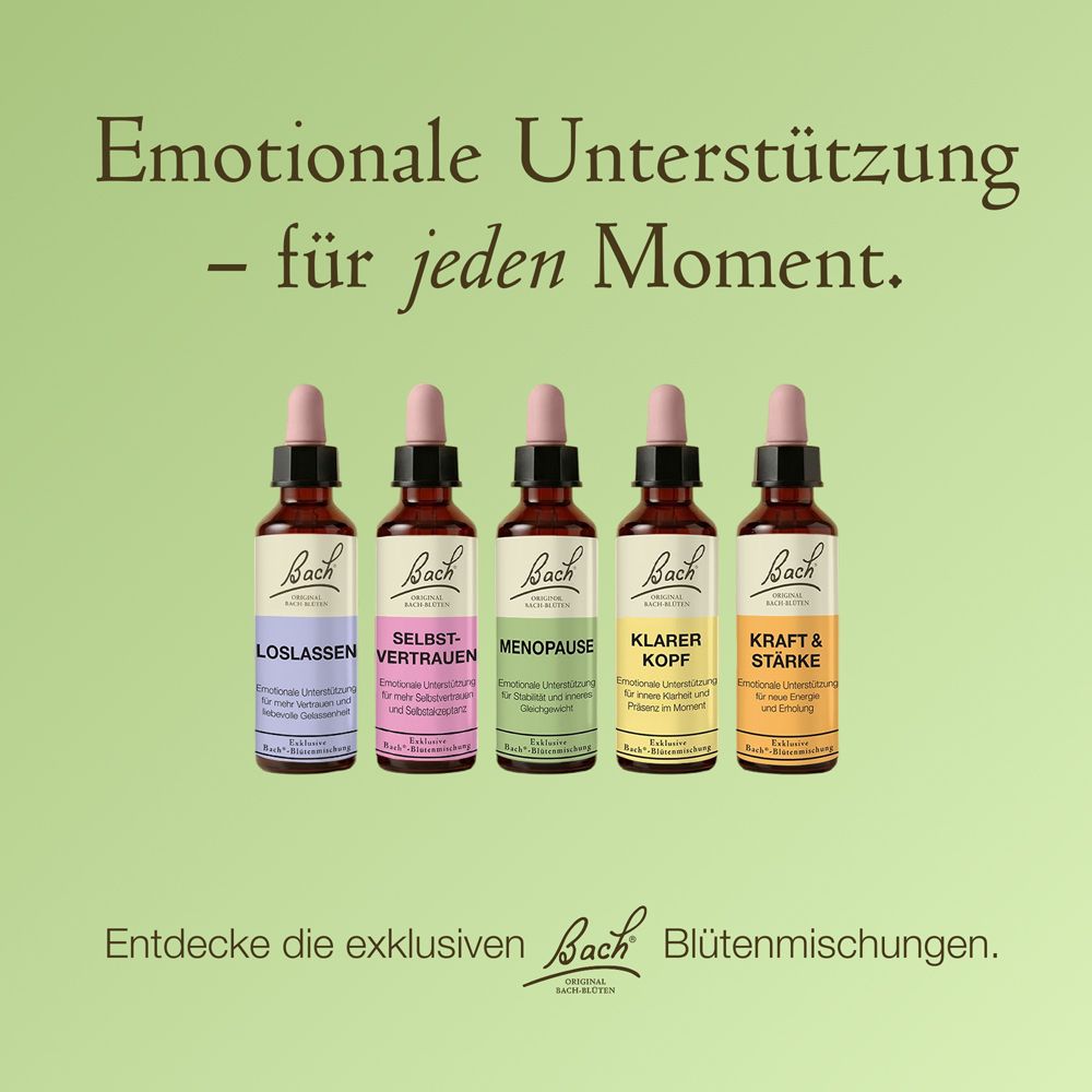 Fünf Bach Blütenmischungen Tropfenflaschen in verschiedenen Farben und Etiketten.