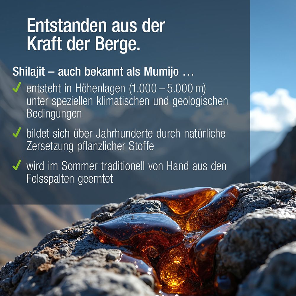 Vitactiv Shilajit: Harzartiger Shilajit in Felsspalten. Text: 'Entstanden aus der Kraft der Berge.' Shilajit entsteht in Höhenlagen.
