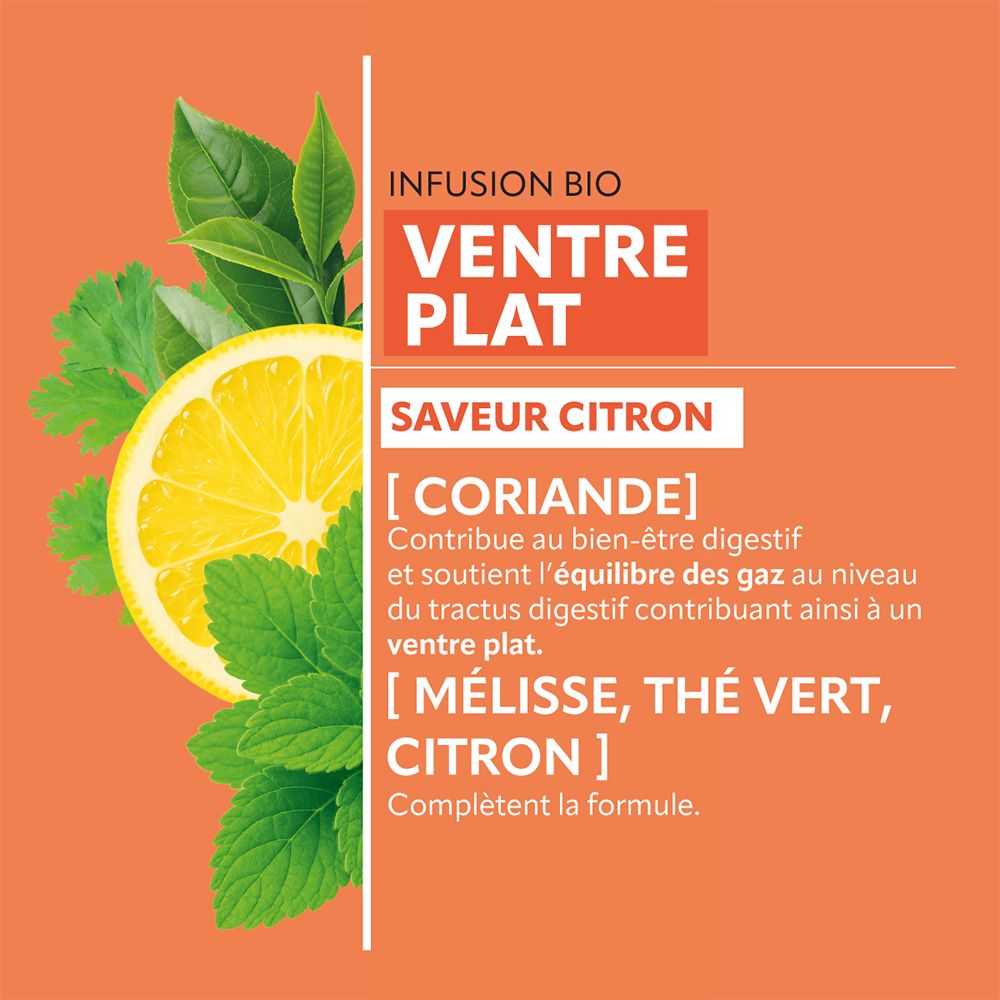 Gros plan sur les ingrédients du thé Herbesan : citron, coriandre, mélisse et thé vert.