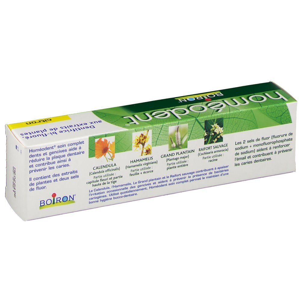 Emballage de dentifrice. Vert et blanc. Inscription: homéodent. Illustration de plantes. Texte: soin complet dents et gencives.