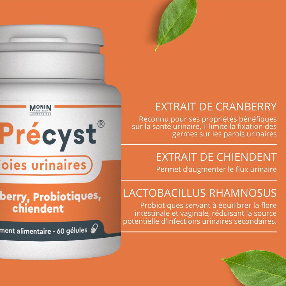 Orangefarbener Hintergrund mit Text. Précyct, Voies urinaires, Cranberry, Probiotika, Chiendent. Text über Cranberry, Chiendent und Lactobacillus.