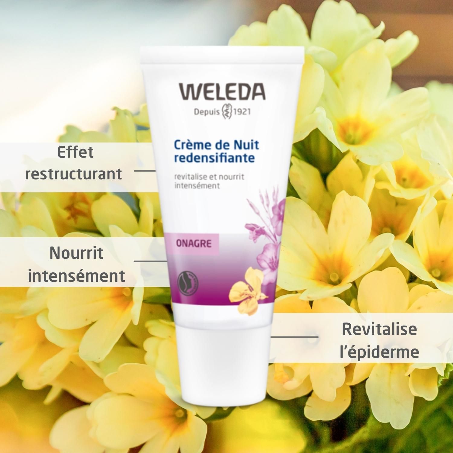 Weleda Onagre Crème de Nuit redensifiante à l'Onagre bio