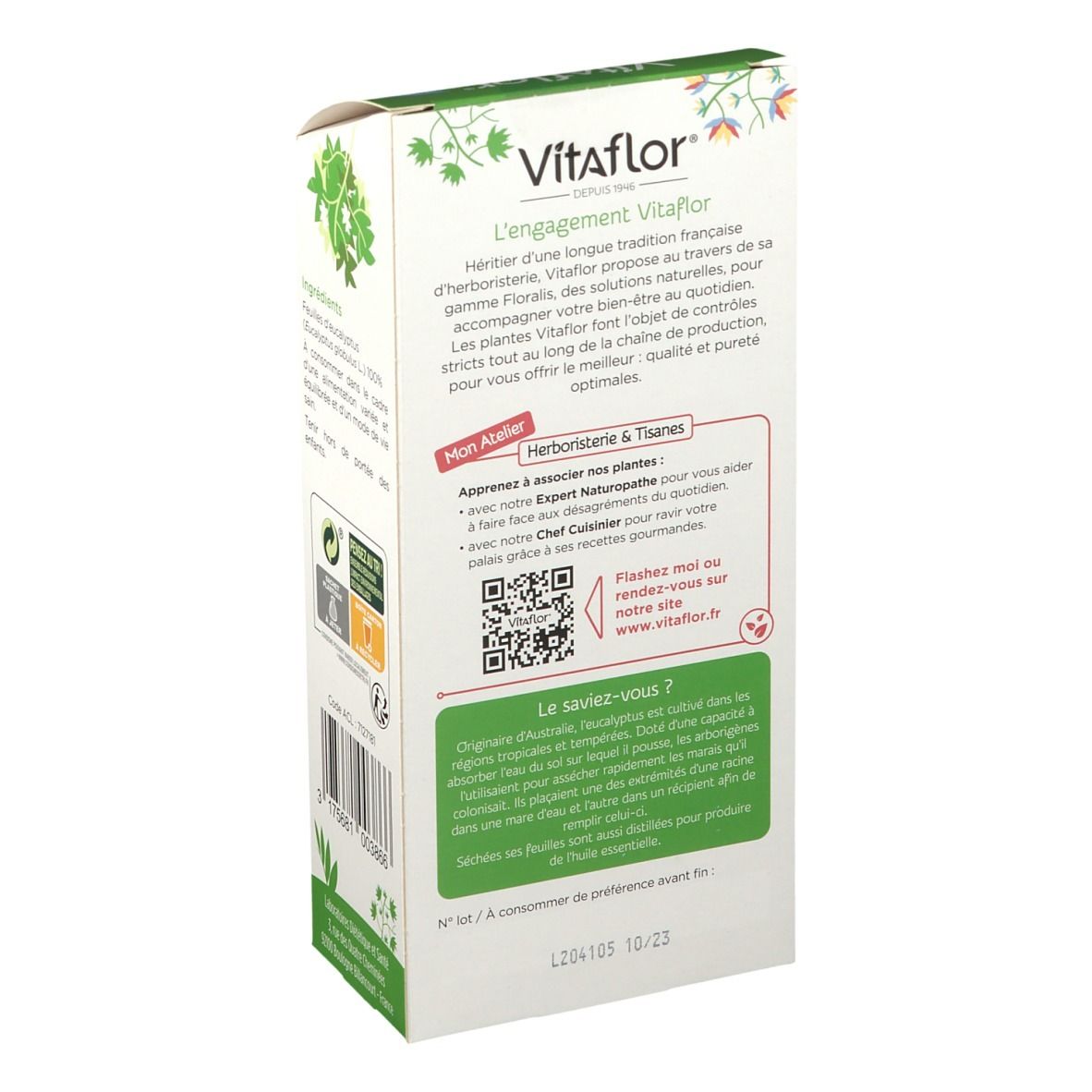 Vitaflor Eukalyptus Blatt