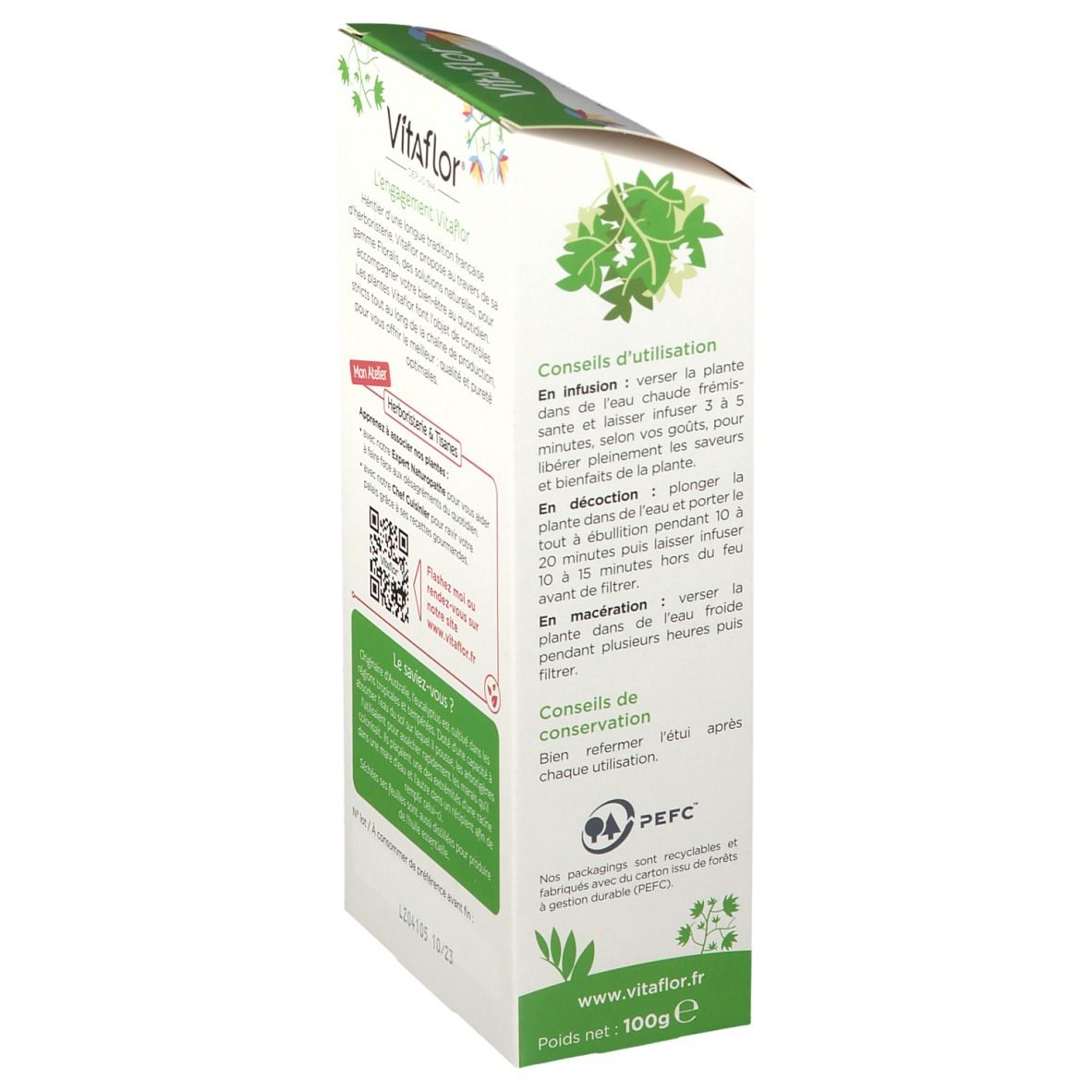 Vitaflor Eukalyptus Blatt