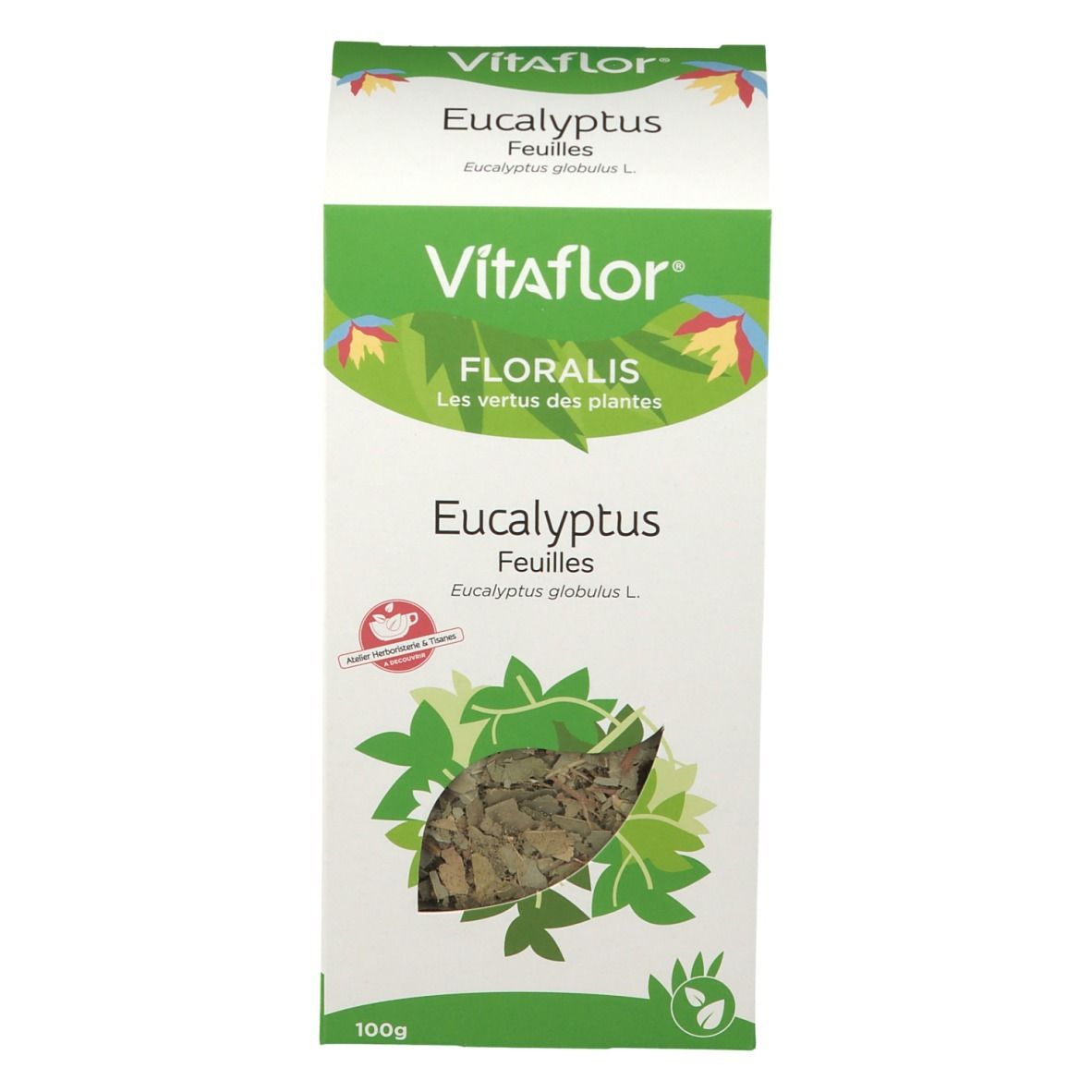 Vitaflor Eukalyptus Blatt