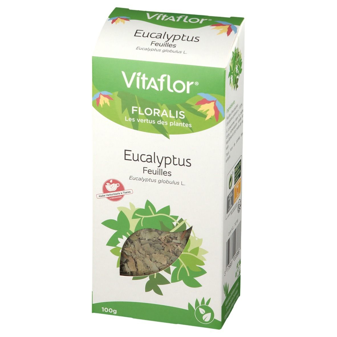 Vitaflor Eukalyptus Blatt
