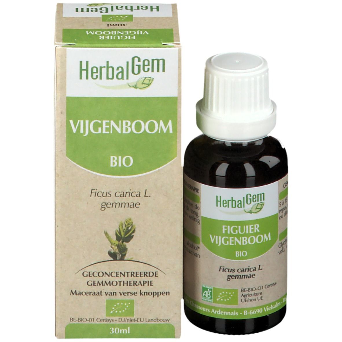 Braune Glasflasche und Karton. Karton mit Produktnamen und Bio-Siegel. HerbalGem. 30ml.