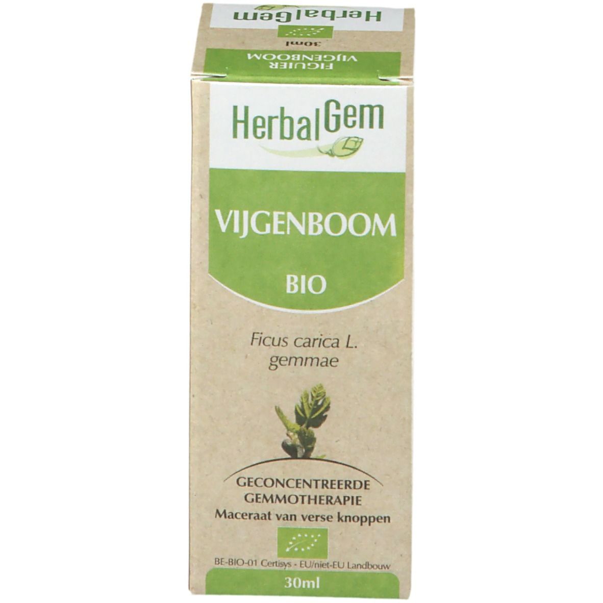 Karton mit Produktnamen und Bio-Siegel. HerbalGem. 30ml. Produktabbildung.
