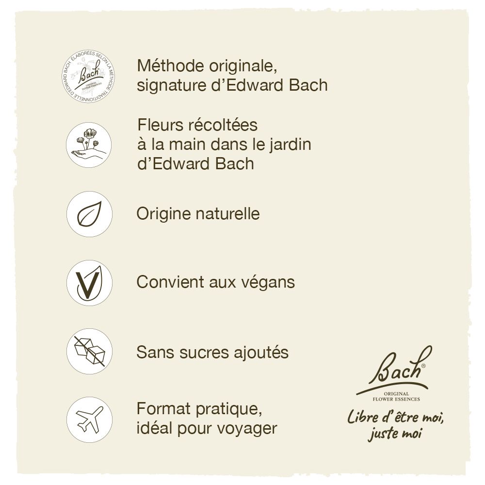 Grafik mit Logos und Text. Beschreibt die Originalmethode von Bach, vegan, ohne Zuckerzusatz. Marke: Bach.