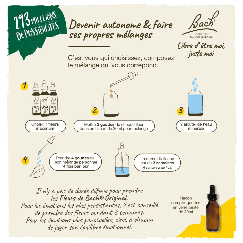 Grafik mit Produkt und Anweisungen. Erklärt die Herstellung von Mischungen. Marke: Bach. 38 Blüten.