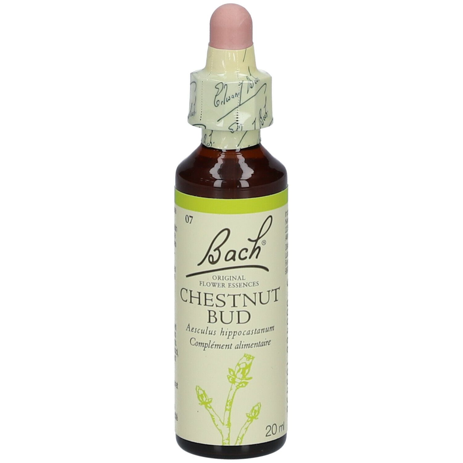 Flacon en verre brun avec compte-gouttes. Étiquette 'Bach' et 'Chestnut Bud'.