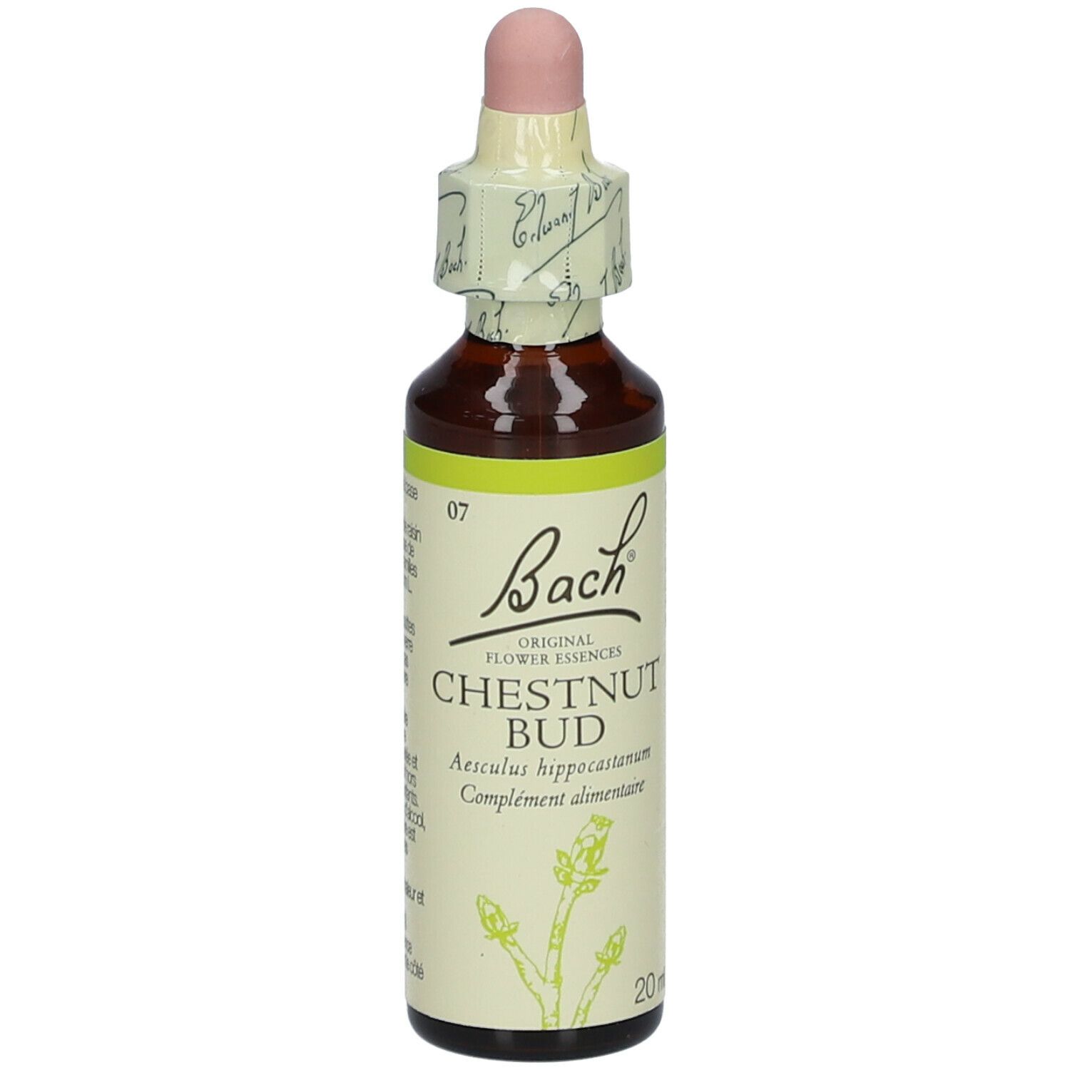 Flacon en verre brun avec compte-gouttes. Étiquette 'Bach' et 'Chestnut Bud'.