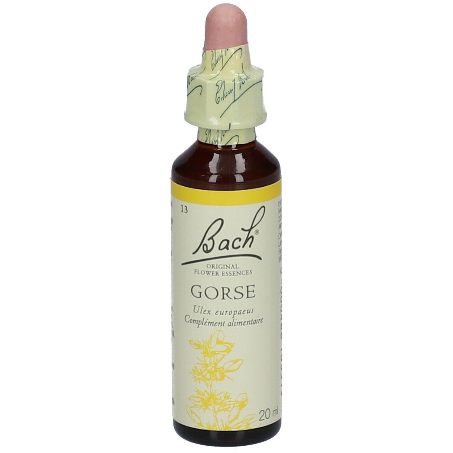 Flacon en verre brun avec compte-gouttes. Étiquette avec nom du produit et marque: Bach Original Gorse Nr. 13.
