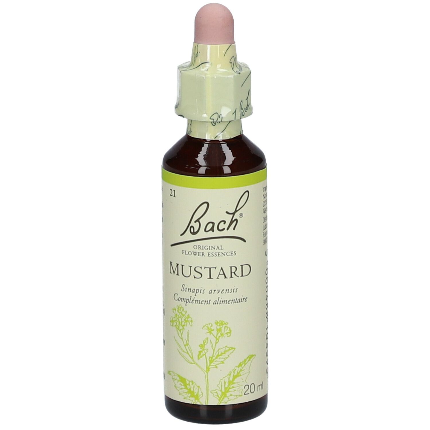 Flacon en verre brun avec compte-gouttes. Étiquette "Bach" et "Mustard".