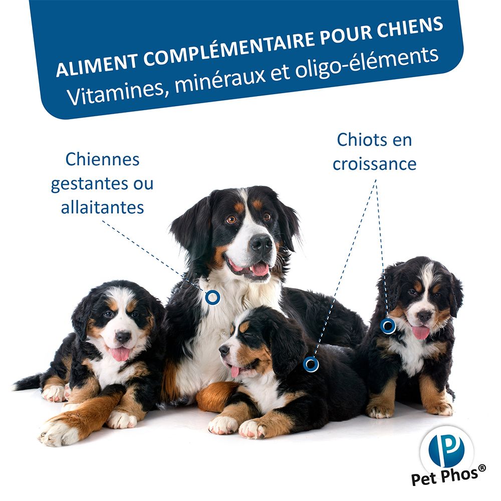 Photo de chiens. Texte : « Aliment complémentaire pour chiens ». Chiens, chiots. Marque Pet Phos.