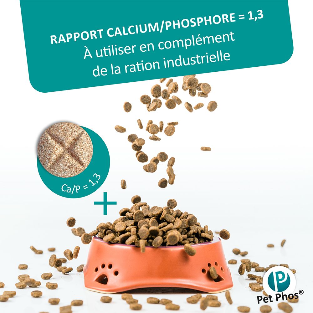 Hundefutter in Schüssel. Tablette mit Ca/P=1,3. Text: Rapport Calcium/Phosphore = 1,3. Pet Phos Logo.