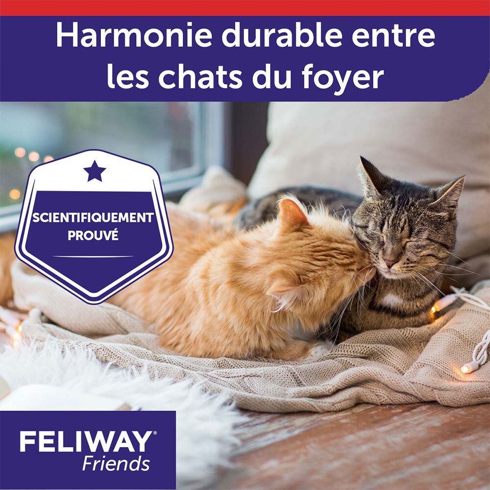 Zwei Katzen kuscheln. Text: Wissenschaftlich bewiesen. Text: Harmonie zwischen Katzen im Haushalt. Logo: FELIWAY Friends.