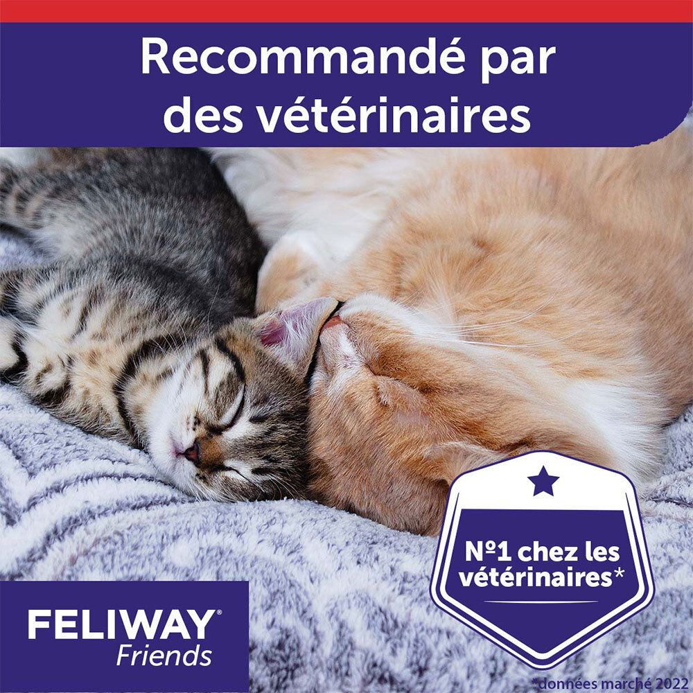 Zwei Katzen schlafen. Text: Empfohlen von Tierärzten. Text: Nr. 1 bei Tierärzten. Logo: FELIWAY Friends.
