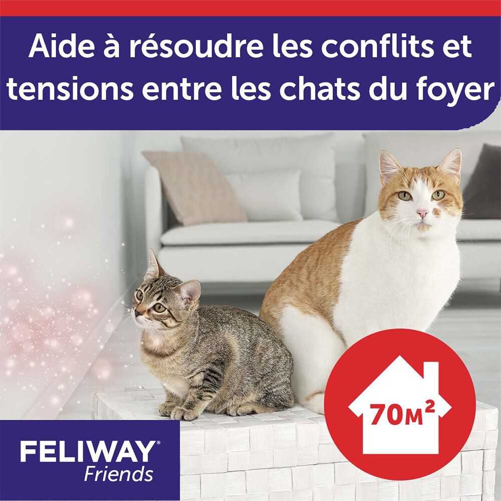 Zwei Katzen sitzen. Text: Hilft, Konflikte und Spannungen zu lösen. Text: 70 m². Logo: FELIWAY Friends.