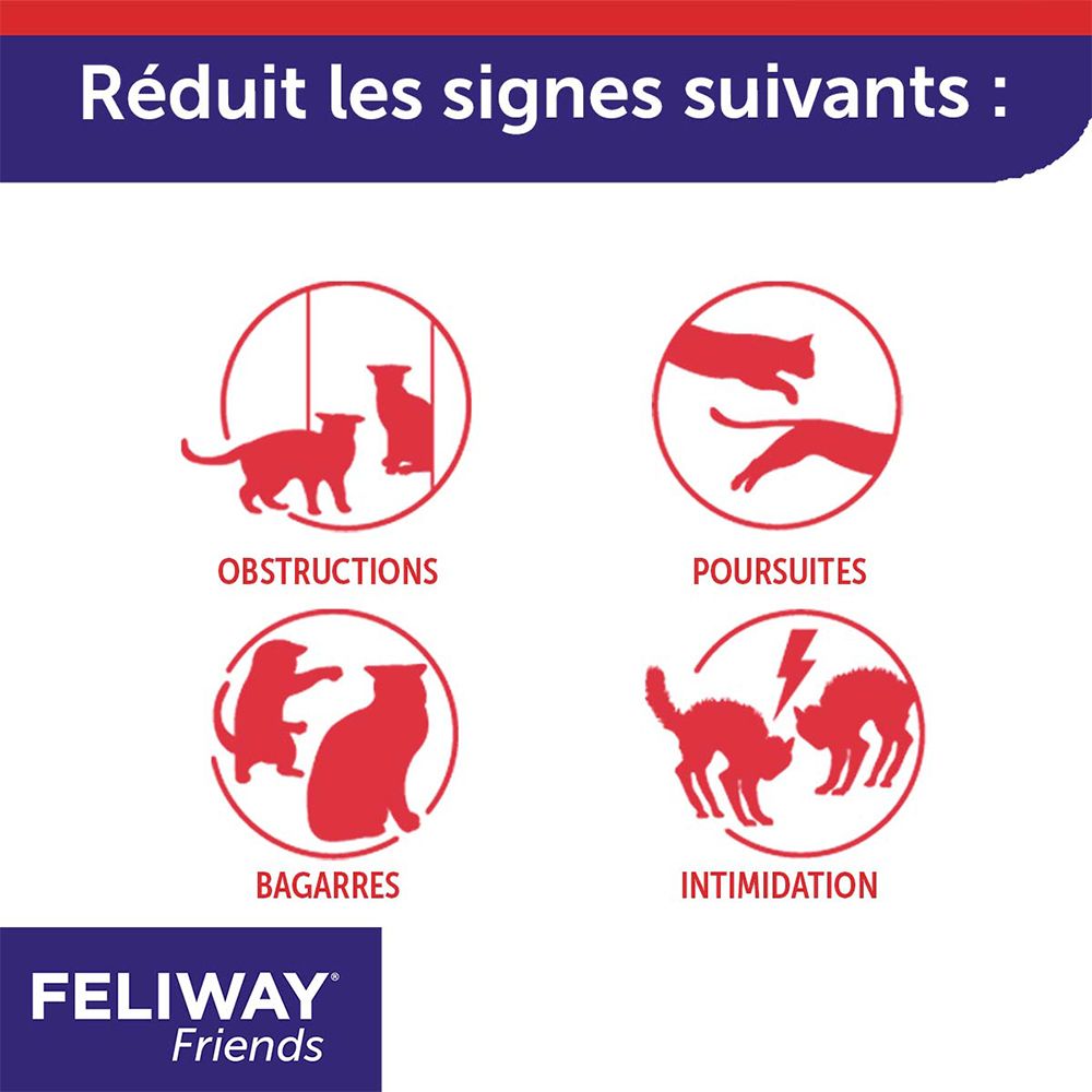 Grafiken mit roten Katzen-Symbolen. Text: Obstructions, Poursuites, Bagarres, Intimidation. Text: FELIWAY Friends.