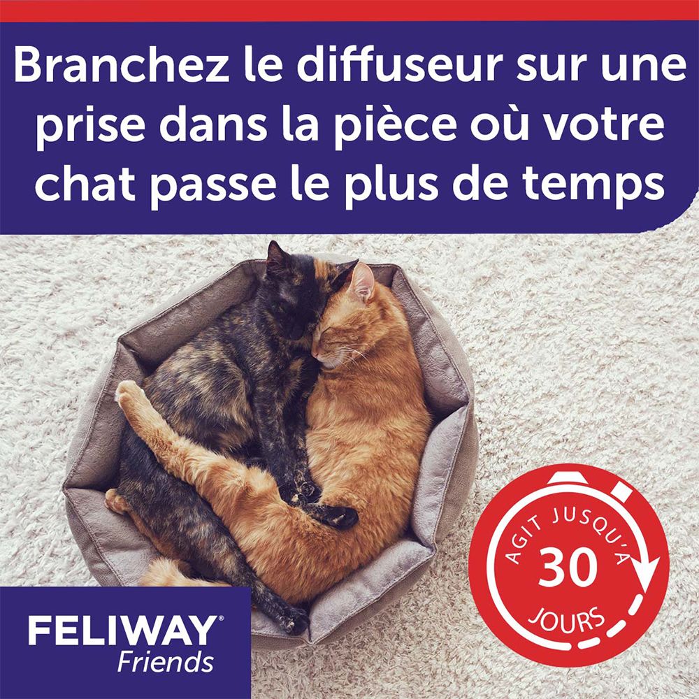 Zwei Katzen in einem Bett. Text: Agit jusqu'à 30 jours. Text: FELIWAY Friends. Text: Branchez le diffuseur.