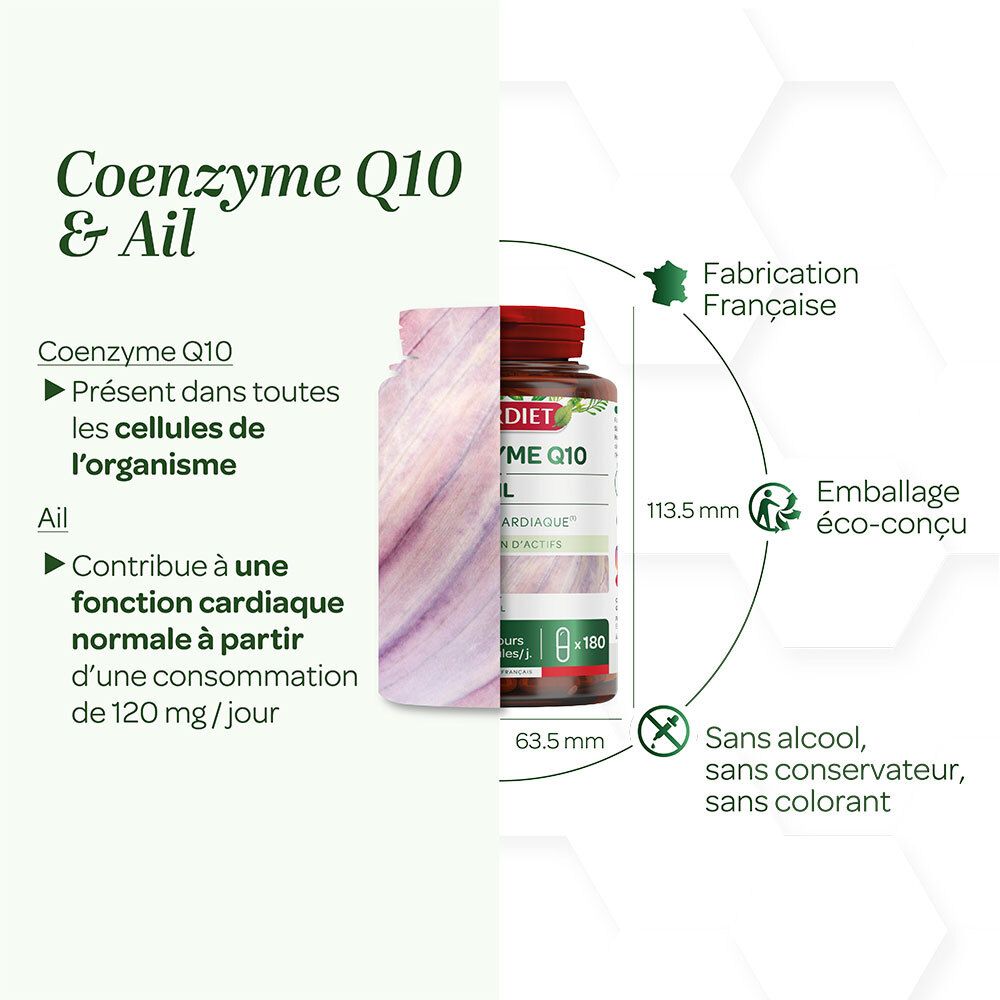 Grafische Darstellung. Produktinformationen: Coenzym Q10 und Knoblauch. Abmessungen: 113,5 mm x 63,5 mm. Keine Alkohol, Konservierungsstoffe oder Farbstoffe.