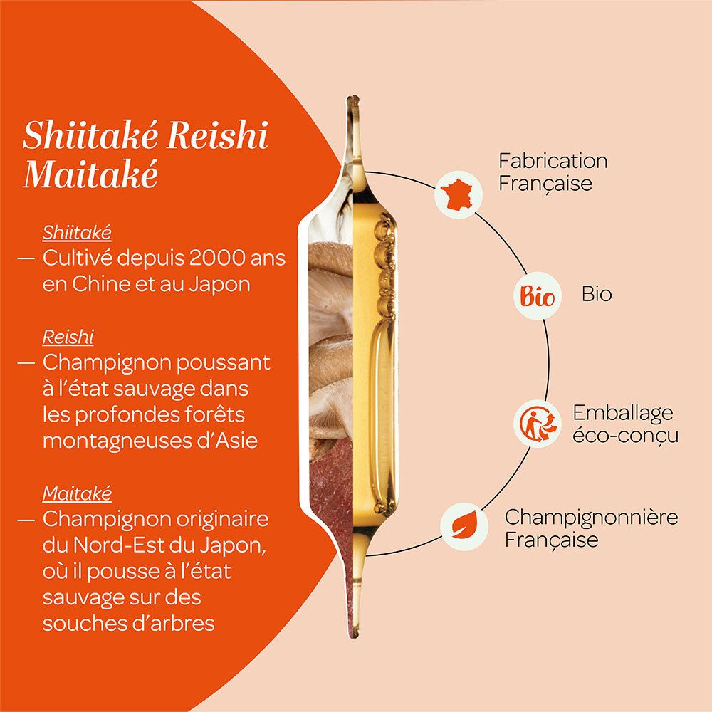 Grafische Darstellung der Inhaltsstoffe Shiitake, Reishi und Maitake. Ampulle mit Flüssigkeit.