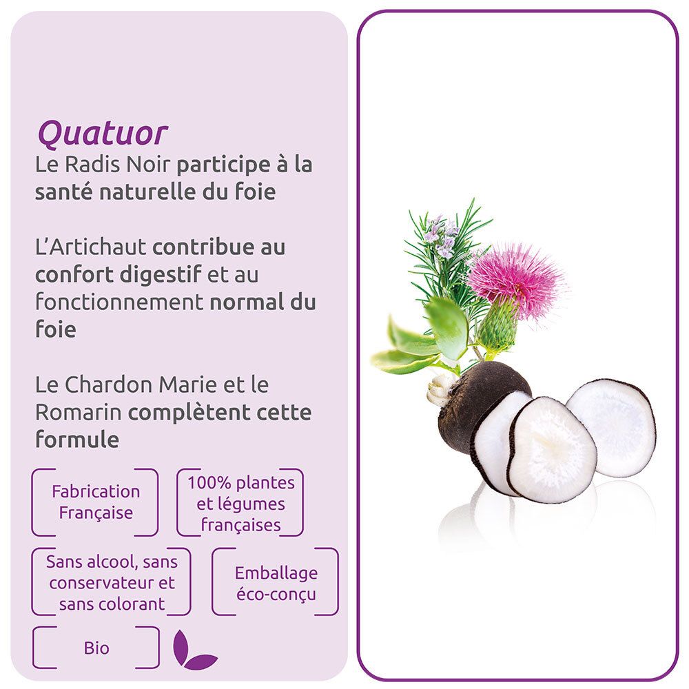 Herbesan Bio Bien-être du Foie Radis Noir Artichaut Romarin
