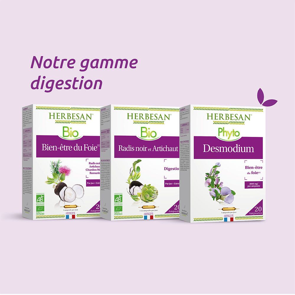 Herbesan Bio Bien-être du Foie Radis Noir Artichaut Romarin