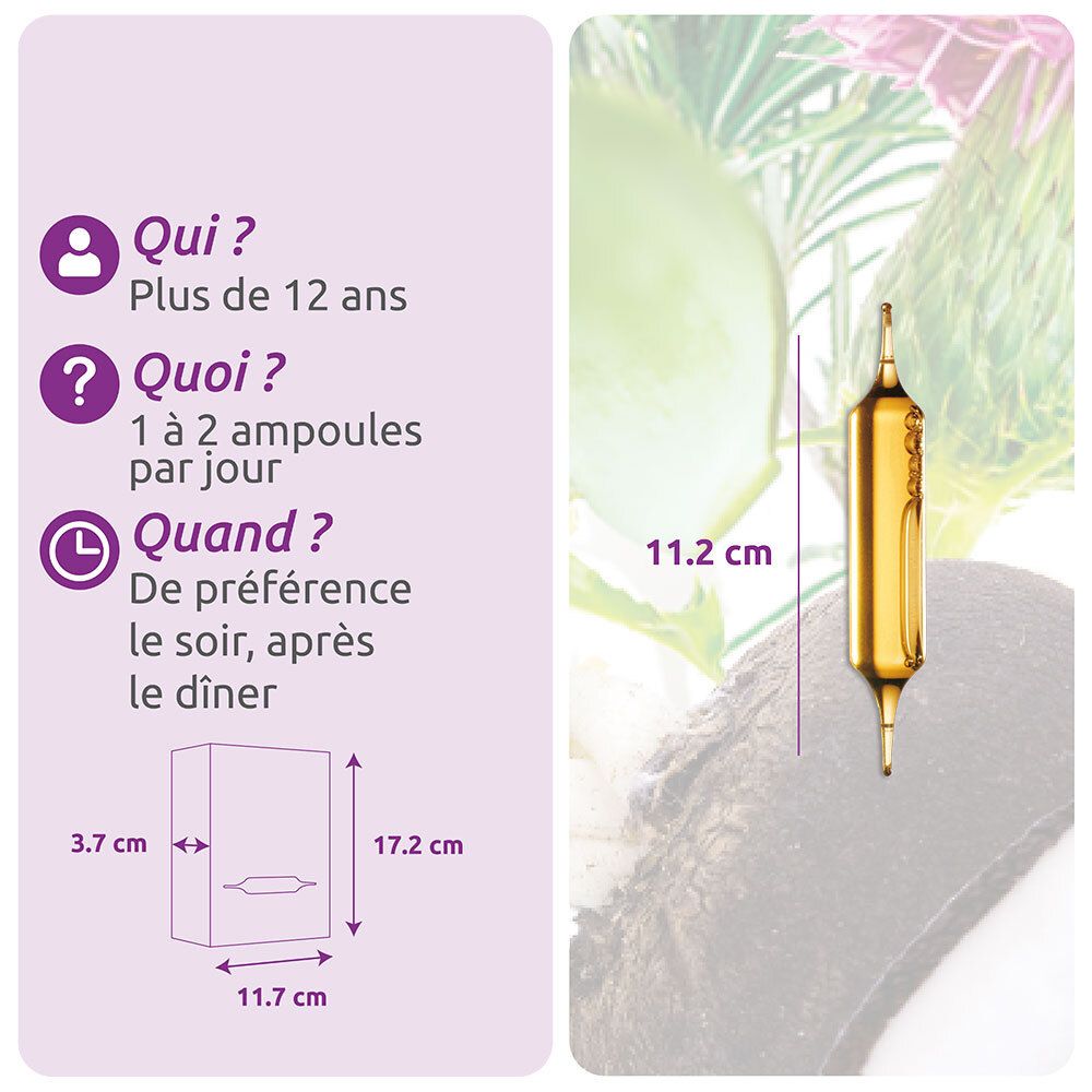 Herbesan Bio Digestion Radis Noir Artichaut